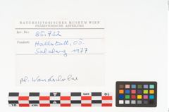 Foto von Keramikgefäß (NHMW-PRAE-085732)